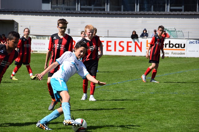 中起到了 中起到了