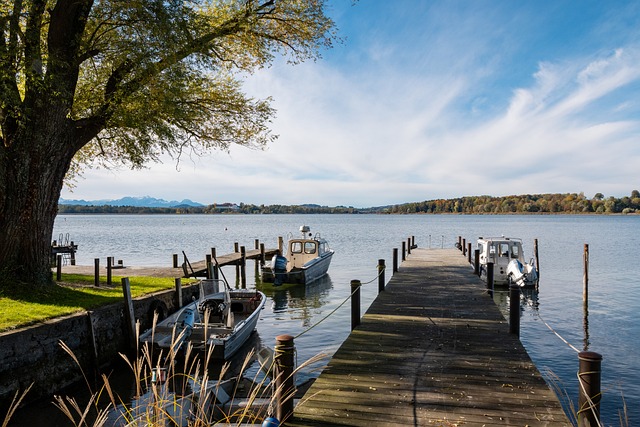 是主教练 是主教练