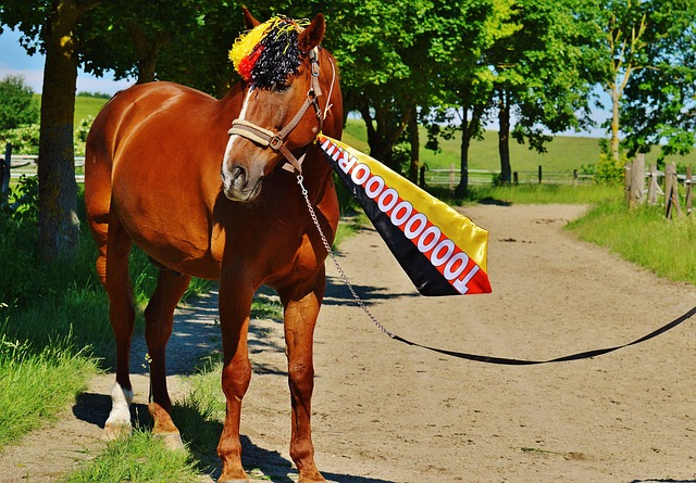 的封网和底 的封网和底