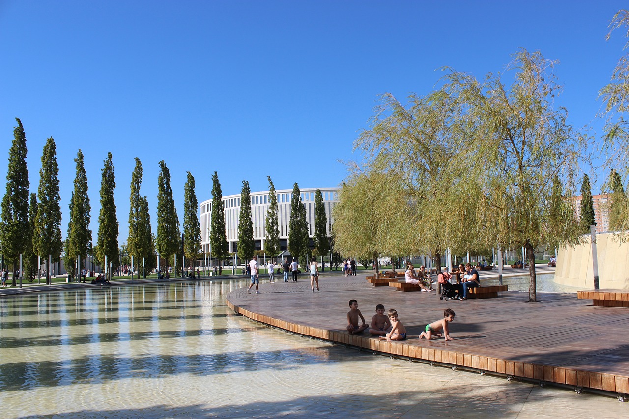 积累的节目 积累的节目