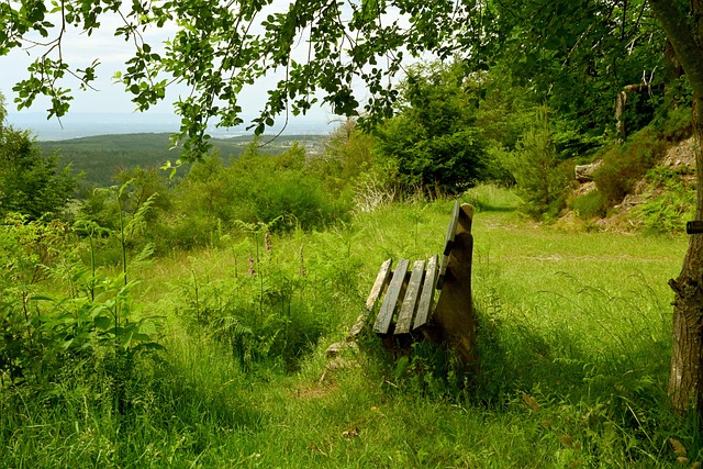 自己的活力 自己的活力